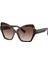 Güneş Gözlüğü DG4463F 56 502/13 2