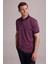 Erkek Mürdüm Regular Fit Merserize Polo Yaka T-Shirt 3
