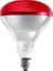 250 W Infrared Isıtıcı Lamba Kırmızı E27 Duy 24 Adet 1