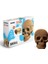 3D Puzzle - Skull 1