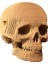3D Puzzle - Skull 3