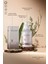 Sıkılaşmaya Yardımcı Selülit & Çatlak Karşıtı Anti Cellulite Gel 250 ml 5