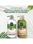 Doğal Zeytinyağı ve E Vitaminli Onarıcı Nemlendirici Saç Kremi 600 ml – Bitkisel Formül, Günlük Kullanım İçin 5