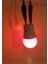 Gece Lambası Ampülü Kırmızı 1W LED E27 Duy 4