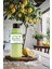 Limon Kolonyası - Doğal Limon Kokusu 400 ml 6