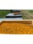 Polen 800 Gram 5
