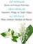 Emotion Edt+Deo Kofre Aqua Kiss 2