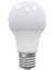 Uzlıght LED Ampul 2