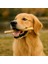 Burgu Çubuk Naturel- Köpek Stick -Köpek Ödülü 1