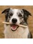 Burgu Çubuk Naturel- Köpek Stick -Köpek Ödülü 4