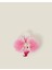 Orkide Klips Toka Pembe 1