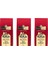 Dağ Çilekli Türk Kahvesi 100GR. X3 (Ekonomik Paket) 1