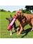Signature Stick Çubuk Şeklinde Köpek Oyuncağı L 2