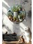 Evinize Doğallığın Huzurunu Getirin - Uv Baskılı Duvar Süsü – 33X33 cm & 20X20 cm DT167 4