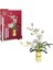 Wow Blx Flower Set Yaz Orkidesi 625 Prç 1