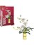 Wow Blx Flower Set Yaz Orkidesi 625 Prç 3