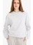 Regular Fit Bisiklet Yaka Kalın Kumaş Sweatshirt D6645AX25WN 1