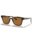 4323 710/83 51 Ekartman Unisex Güneş Gözlüğü 1