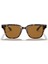 4323 710/83 51 Ekartman Unisex Güneş Gözlüğü 2