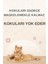 Kedi Kumu ve Tuvaleti Koku Giderici, Doğal Idrar ve Çişi Spreyi, Kokusuz Tuvalet Için, Bitkisel Formül, 4