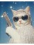 Çeteci Kedi Flexin Cat V1 Ev Duvar Salon Güzellik Salonu Ofis Dükkan Dekarasyon Kanvas Tablo 2