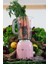 50's Style Pembe Kişisel Blender 6