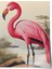 Çerçevesiz Poster, Flamingo – Doğal Stil, Yatak Odası Dekoru Poster No: 112571 1