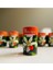 Probiyotikli Portakallı Detoks Çayı 30 Poşet Vitamin ve Mineral Açısından Zengin Bitki Karışımı 8