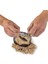 NAT06002 National Geographic Dino Kazı Kiti - Rtngdıno2 +8 Yaş 2