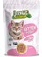 Yavru Kedi Tavuklu 100 g Pouch 1