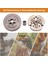 5x 3/8 Debriyaj Drum ve Debriyaj ve Iğne Yatak Çin Chainsaw 3800 (Yurt Dışından) 5