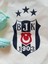 El Boyaması Bez Çanta – Beşiktaş Tasarım – El Yapımı Özel Çalışma 3