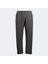 104193.181 Core Erkek Outdoor Pantolon Gri 2
