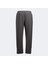 104193.181 Core Erkek Outdoor Pantolon Gri 4