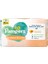 Nessiworld Prima Protect & Care Islak Havlu Mendil 4'lü 176 Yaprak 1