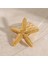 Gold Deniz Yıldızı Tarak Toka ( 1 Adet ) 3