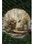 Uv Baskı Mdf Dekoratif Duvar Süsü – Bahar Bahçesi Tasarımlı – 33X33 cm & 20X20 cm DT189 2