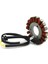 31401-01H00 Suzuki Gsxr Gsx-R 600 750 GSX-R600 GSX-R750 2006-2022 Için Motosiklet Stator Bobini 31401-01H10 31401-01H20 (Yurt Dışından) 4