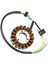 93MM 18 Kutuplu Motosiklet Manyeto Jeneratör Stator Bobini Lınhaı Parçaları YP250 LH250 Atv Quad 250CC Motosiklet Aksesuarları (Yurt Dışından) 2