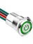 WD16D1-P2-EC 16MM Düz Yaylı Işıklı Power Kablolu Metal Buton - Yeşil 1