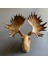 Moose Duvar Geyik 3