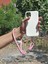 Tüm Kılıflara Uyumlu Pembe Telefon El Askısı 1
