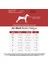 Air-Mesh Harness Köpek Göğüs Tasması XLarge Lime 4