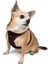 Air-mesh Harness Köpek Göğüs Tasması Kahverengi 6