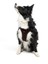 Air-mesh Harness Köpek Göğüs Tasması Kahverengi 7