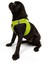 Air-Mesh Harness Köpek Göğüs Tasması XLarge Lime 5