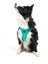 Air-Mesh Harness Köpek Göğüs Tasması 3XSmall Okyanus 7
