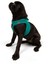 Air-Mesh Harness Köpek Göğüs Tasması XSmall Zümrüt 5