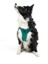 Air-Mesh Harness Köpek Göğüs Tasması XSmall Zümrüt 7