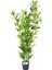Yapay Bambu Ağacı Yeşil 5'li 175 Cm. 1